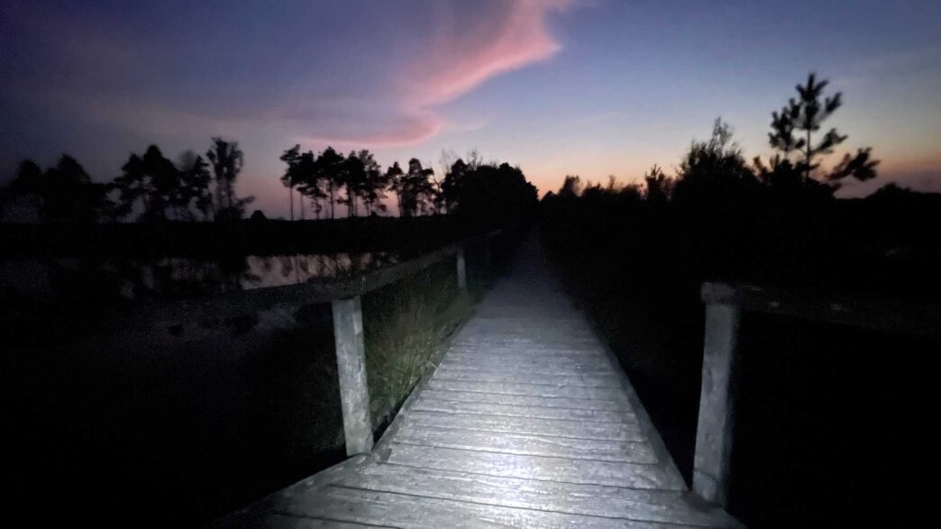 Pietzmoor ein Abenteuer in der Dunkelheit