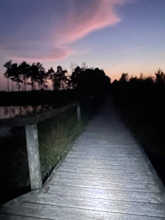 Pietzmoor ein Abenteuer in der Dunkelheit