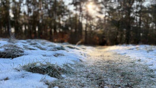 Bispingen Winterwunder