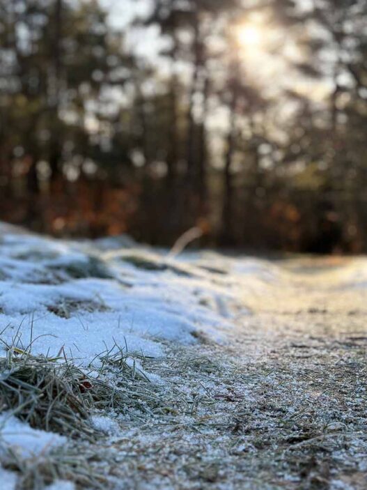 Bispingen Winterwunder