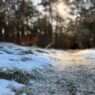 Bispingen Winterwunder
